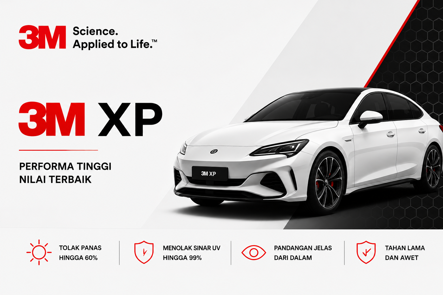 3M Xp